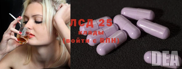 стаф Пересвет