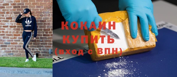 крисы Осинники