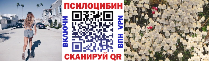 Псилоцибиновые грибы MAGIC MUSHROOMS  купить наркоту  Тбилисская 